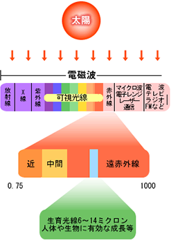 ビーナスビューティーサポーター｜株式会社ワールドビジネスセンター